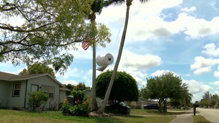 Giant toilet paper roll