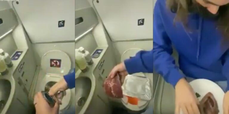 TikTok steak toilet plane