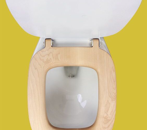 macbook toilet seat