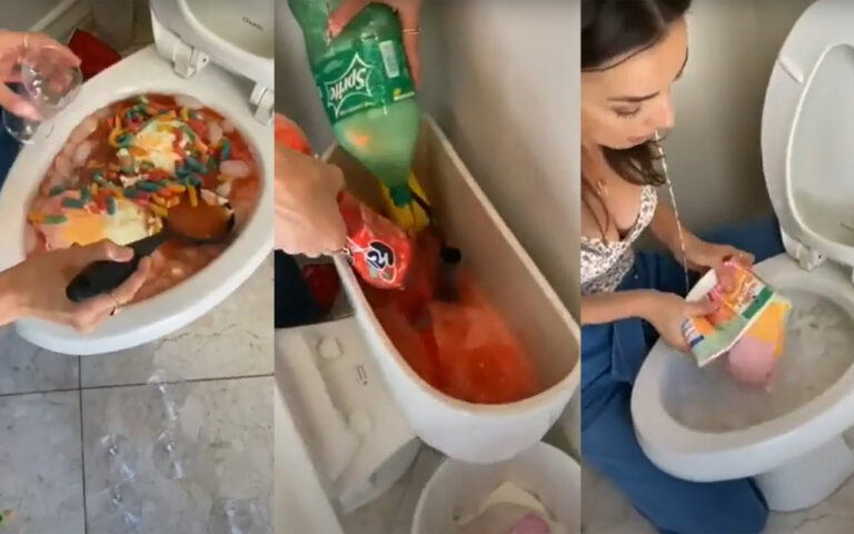 party drink in toilet