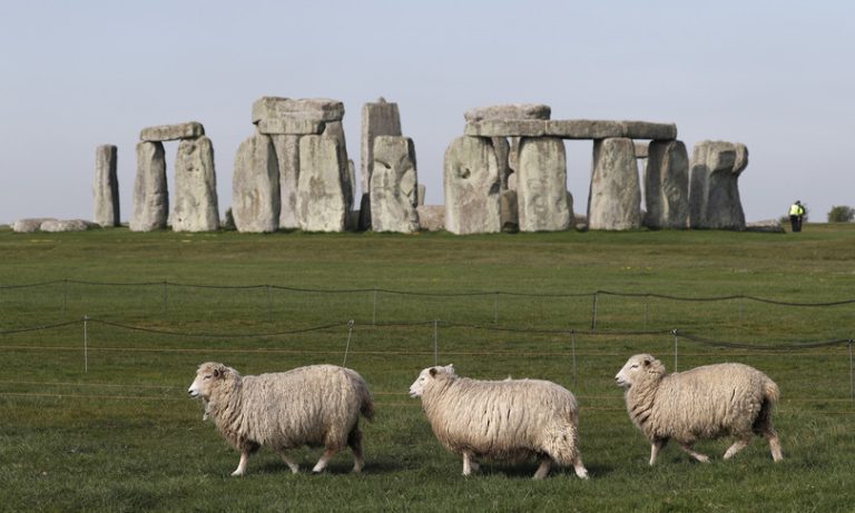 Antiche feci umane mostrano cosa mangiavano i costruttori di Stonehenge