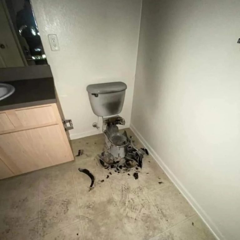 toilet lightning