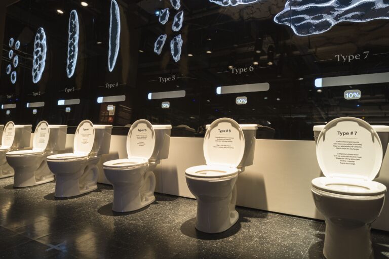 quebec city poop exhibit