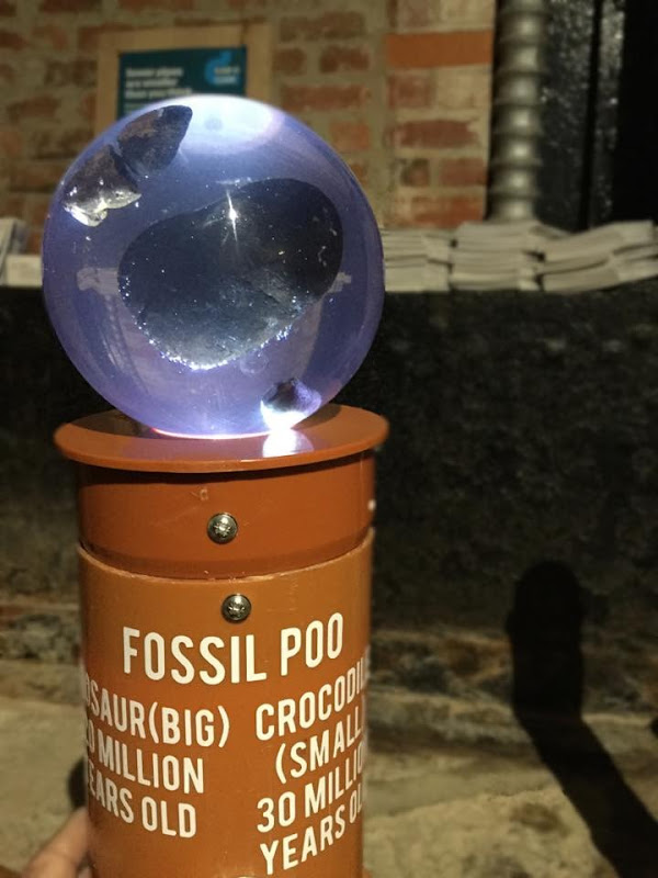 fossil poo