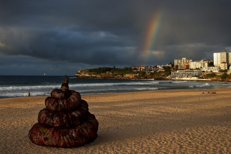 poop sculpture on the beach