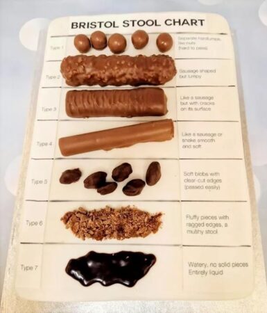 Baker makes a stool chart cake - il Sanitario