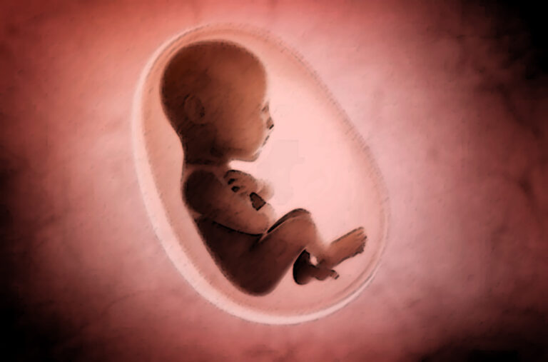 do babies in the womb poop