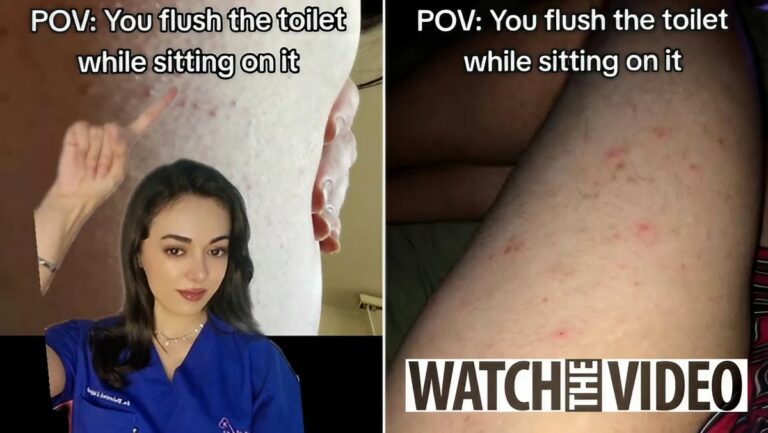 flushing while sitting on the toilet