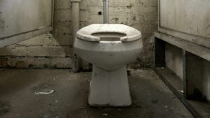 5 surprising ways toilets improve life