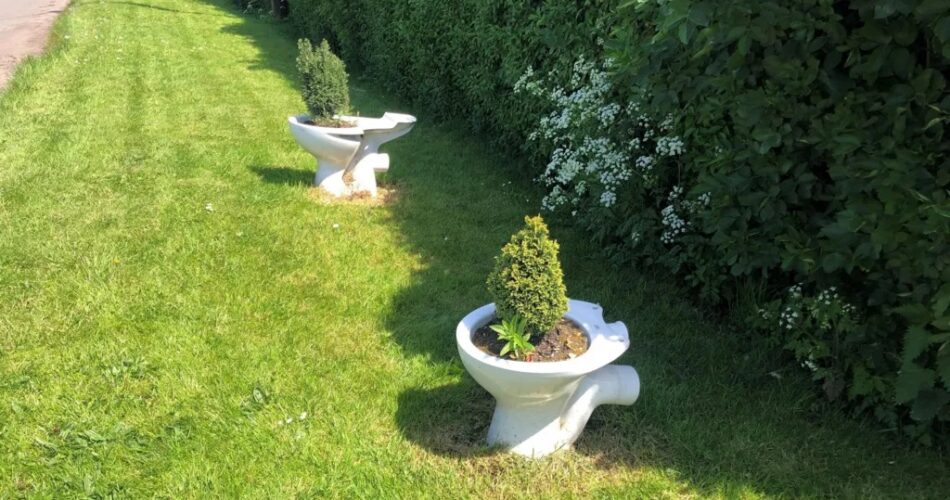 toilet garden