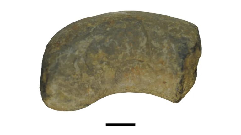 coprolite Huai Nam