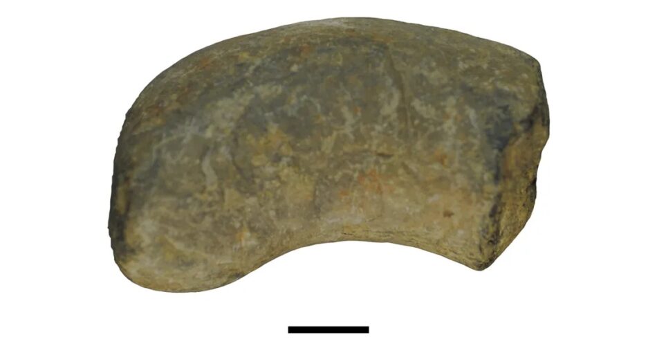 coprolite Huai Nam