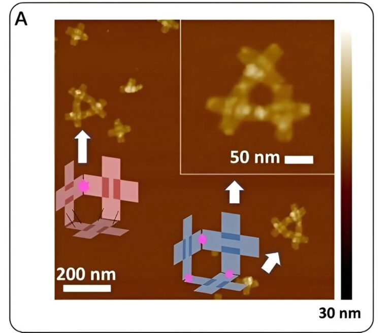 dna-folding nanobots