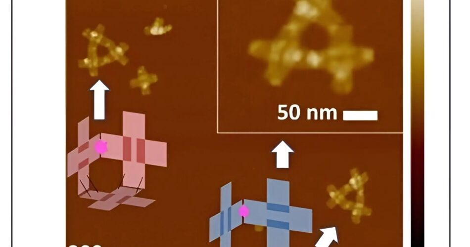 dna-folding nanobots